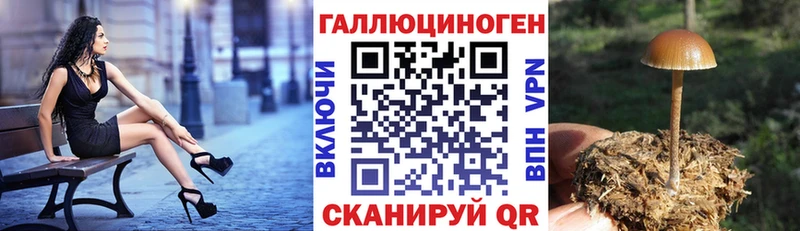 Галлюциногенные грибы MAGIC MUSHROOMS Талица